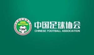 足协评议:里切利手臂无明显犯规动作,裁判取消点球判罚正确